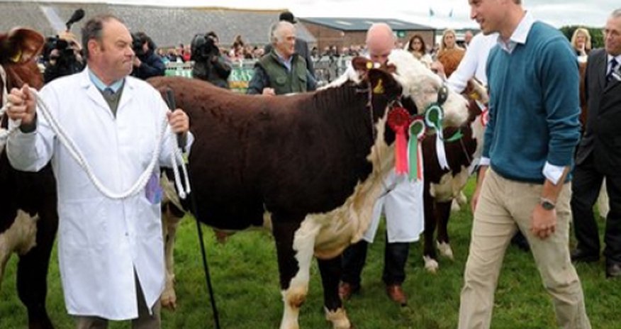 Prince William returns to university to study farming Prince William returns to university to study farming