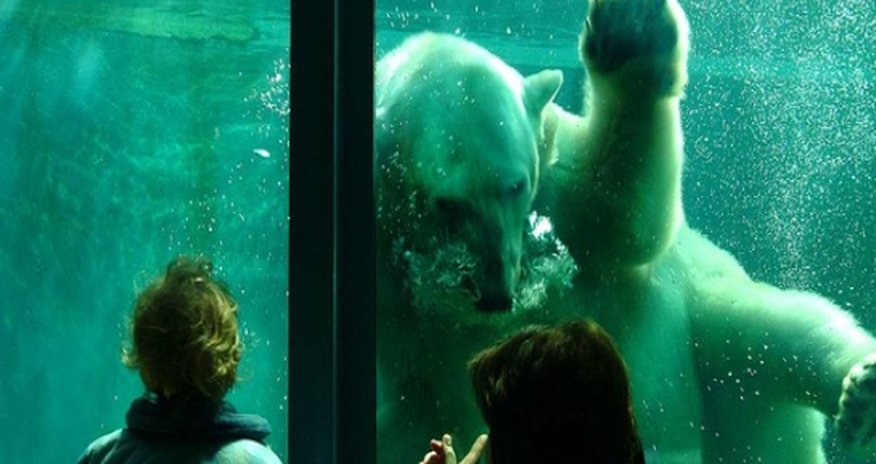 Is this the most interesting zoo in Europe? Is this the most interesting zoo in Europe?