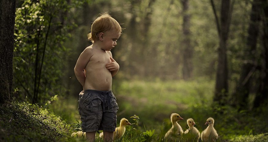 The child animal whisperers - PHOTO The child animal whisperers - PHOTO