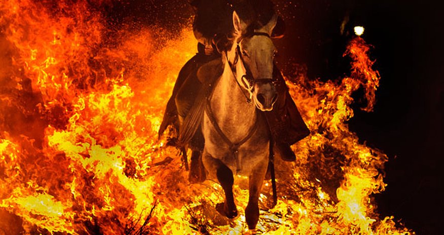 Horses leap fires in ancient Spanish festival - PHOTO Horses leap fires in ancient Spanish festival - PHOTO