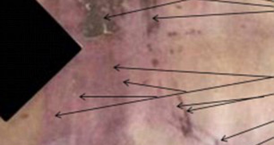 55,000 torture pictures which prove Assad committed war crimes - PHOTO+VIDEO 55,000 torture pictures which prove Assad committed war crimes - PHOTO+VIDEO