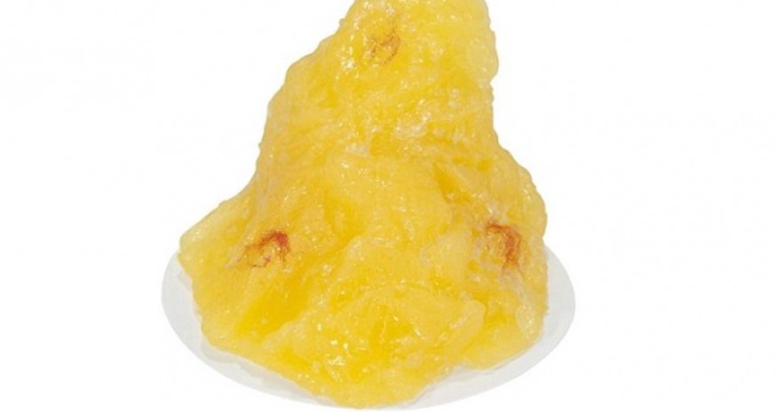 What a single pound of human fat looks like What a single pound of human fat looks like