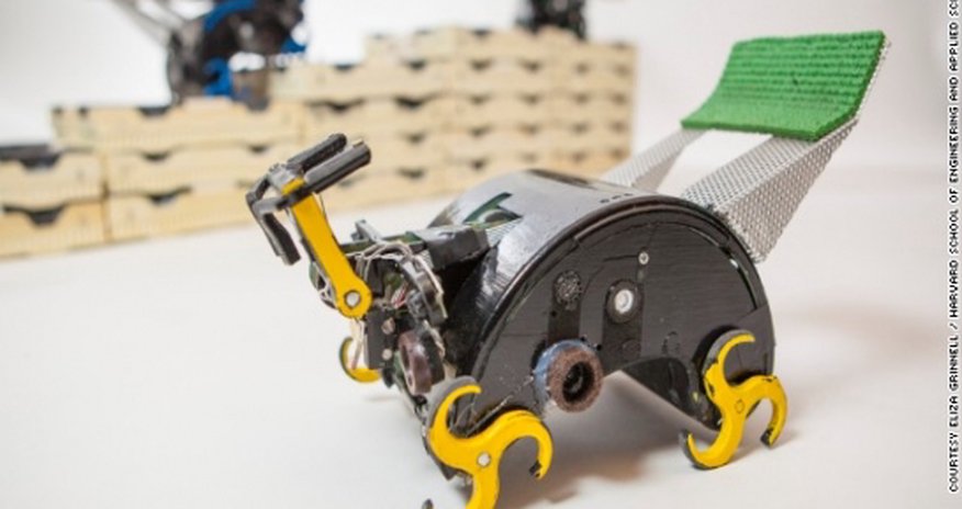How termite-inspired robots could build for us How termite-inspired robots could build for us
