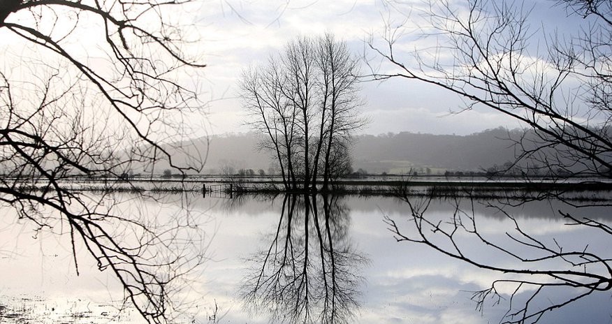 Stunning images of the submerged Somerset Levels - PHOTO Stunning images of the submerged Somerset Levels - PHOTO