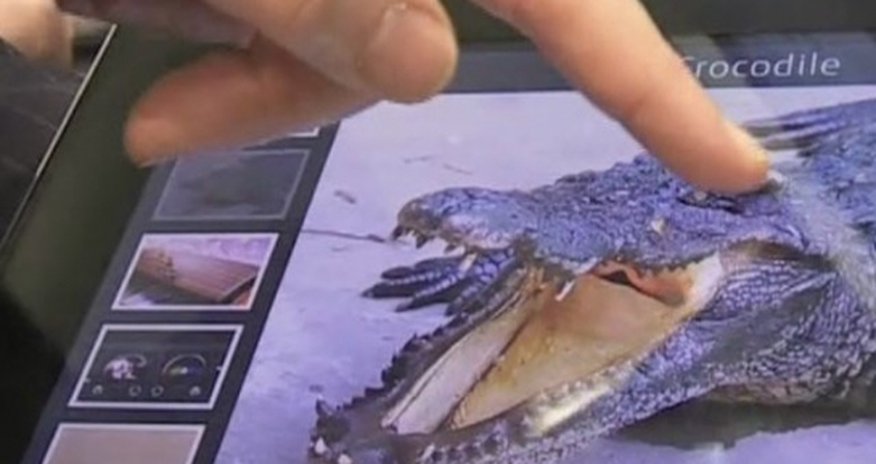 Fujitsu tablet 'lets you feel textures' on the screen - VIDEO Fujitsu tablet 'lets you feel textures' on the screen - VIDEO