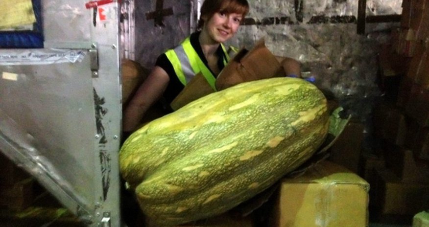 Talk about squashing in your luggage! Talk about squashing in your luggage!