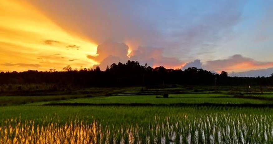 Southern India’s stunning secret - PHOTO Southern India’s stunning secret - PHOTO