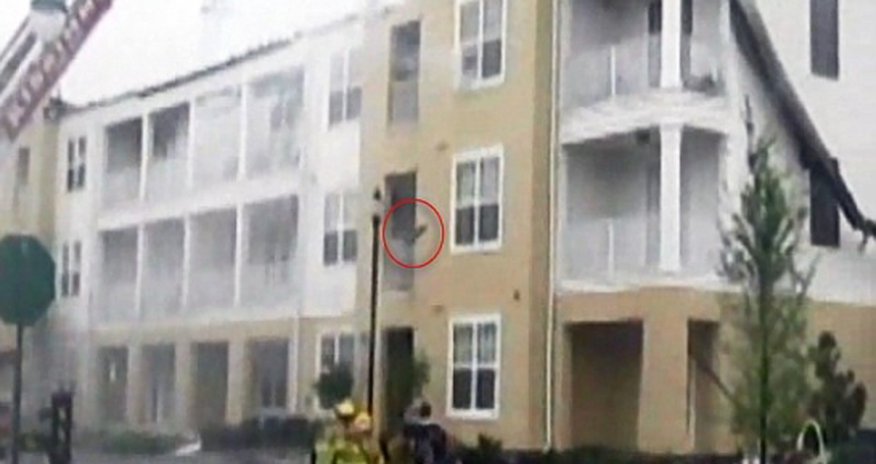 Moment cat trying to escape house fire jumps from third floor - PHOTO Moment cat trying to escape house fire jumps from third floor - PHOTO