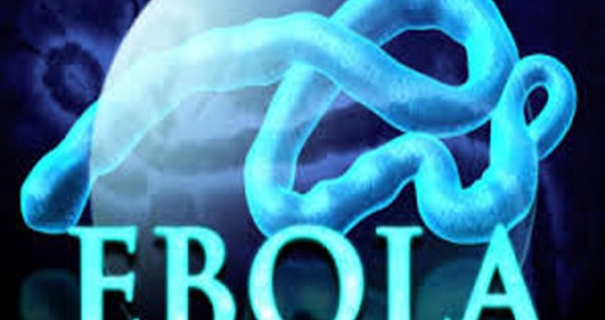 Ebolanın aldığı canların sayı 7 minə çatır Ebolanın aldığı canların sayı 7 minə çatır