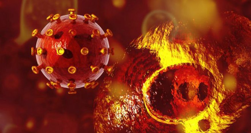 HIV evolving 'into milder form' HIV evolving 'into milder form'