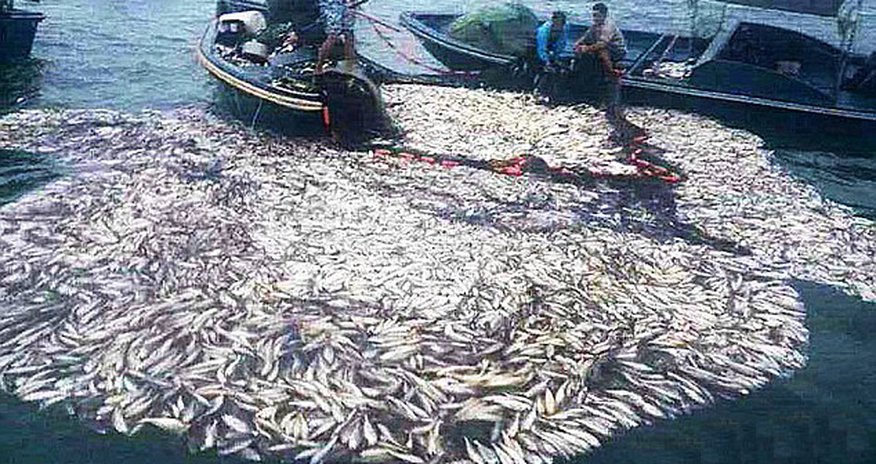 Chinese fishermen under fire for using home-made BOMBS - VIDEO Chinese fishermen under fire for using home-made BOMBS - VIDEO