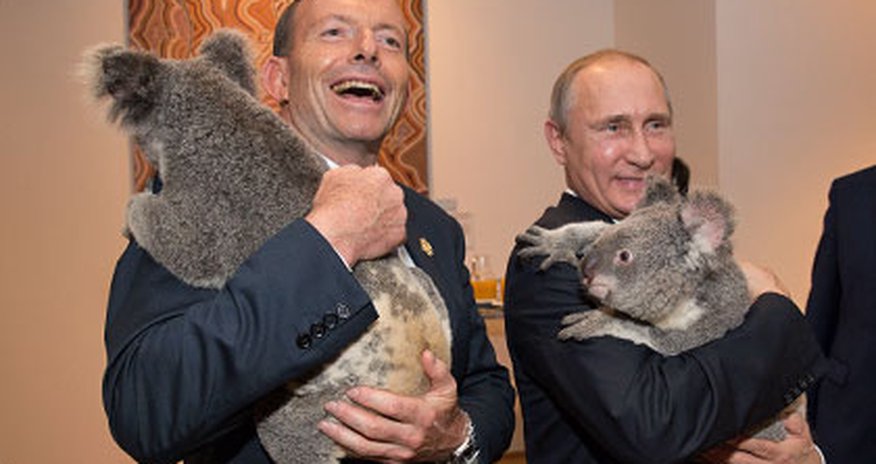 Фотосессия Путина и Обамы с коалами обошлась в $24 тысячи Фотосессия Путина и Обамы с коалами обошлась в $24 тысячи