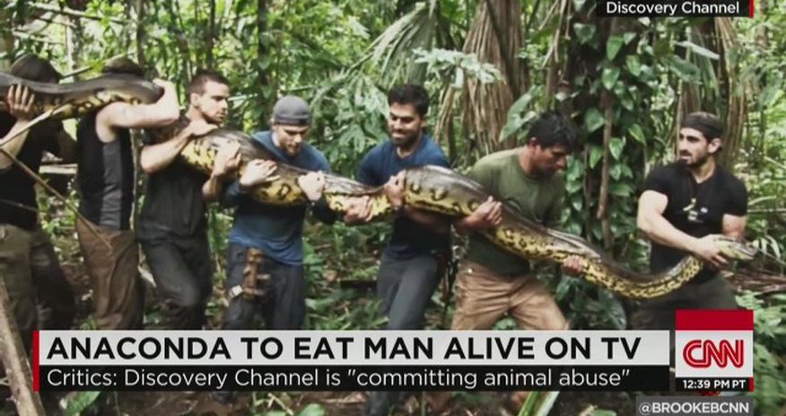 Anaconda eats man alive on Discovery Channel? Anaconda eats man alive on Discovery Channel?