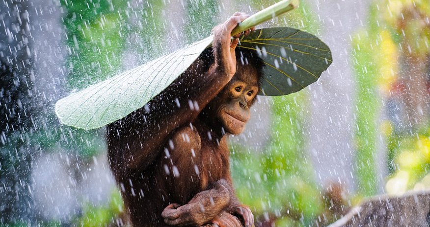 Stunning images vie for Sony World Photography Awards Stunning images vie for Sony World Photography Awards