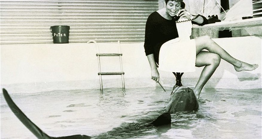 The woman who lived in sin with a dolphin The woman who lived in sin with a dolphin