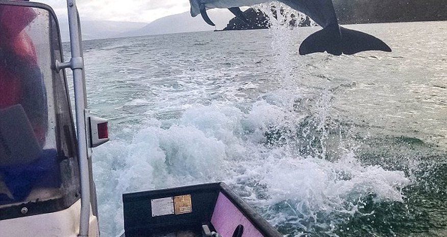 That was flipping close That was flipping close