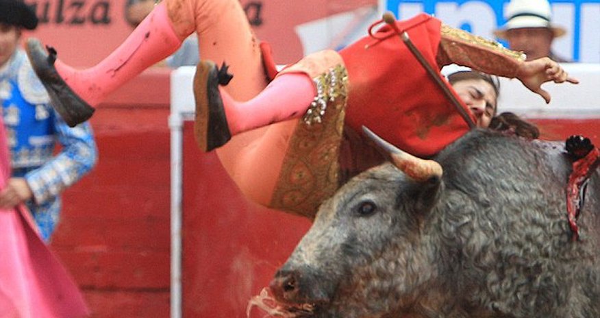 Female bullfighter gored TWICE by the same animal Female bullfighter gored TWICE by the same animal