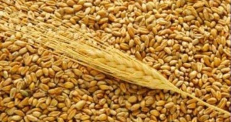 Фонд увеличивает запасы Фонд увеличивает запасы