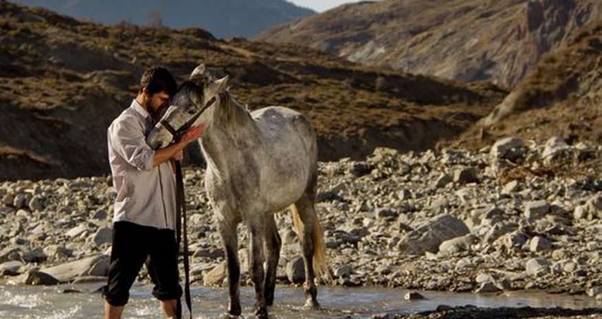 Motamed-Arya shines in ‘Nabat’ out of Azerbaijan Motamed-Arya shines in ‘Nabat’ out of Azerbaijan