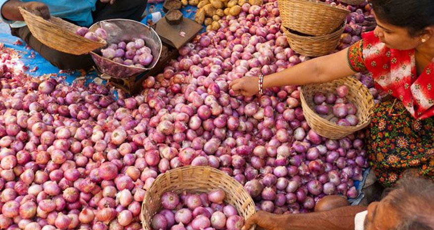 Three cheers for the onion Three cheers for the onion