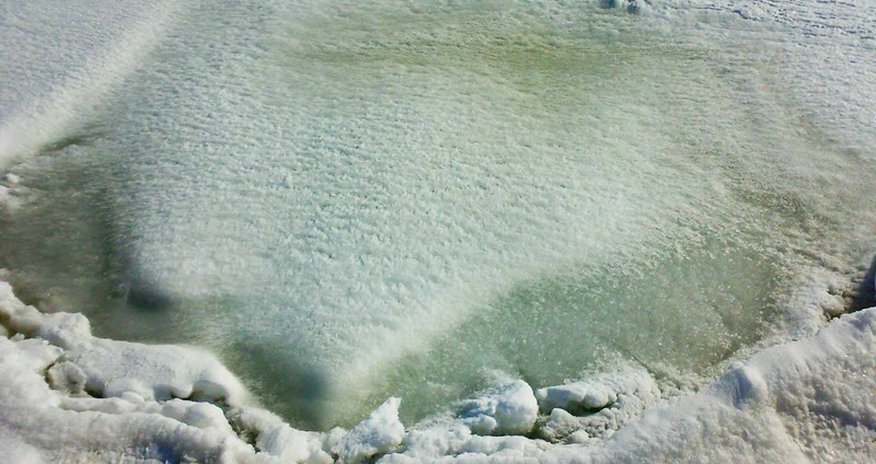 Каспийское море замерзло Каспийское море замерзло