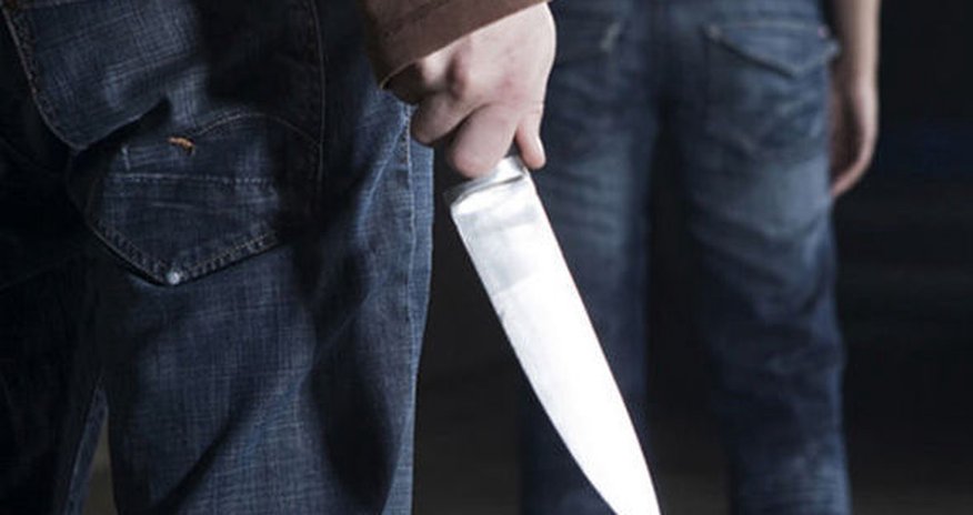 В центре Баку парня убили из-за собаки В центре Баку парня убили из-за собаки