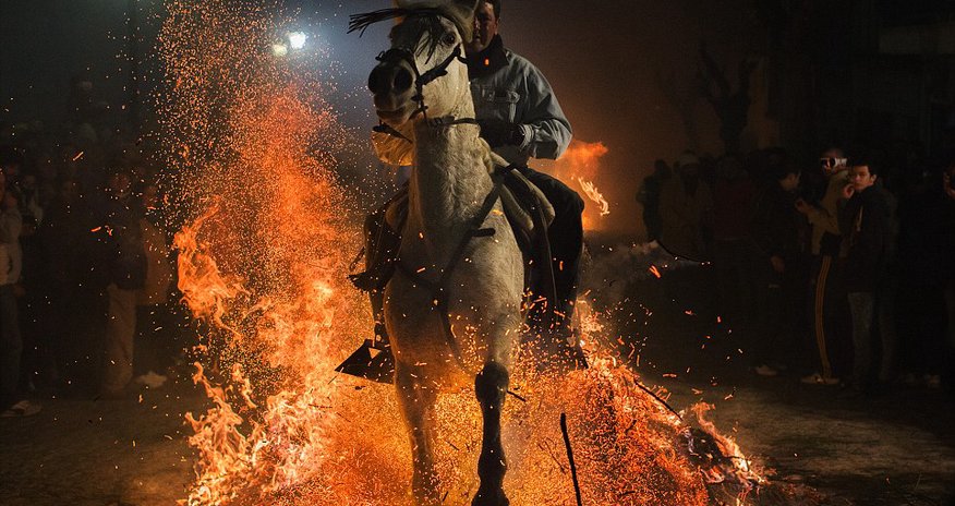 Horses ride through bonfires to celebrate patron saint of animals Horses ride through bonfires to celebrate patron saint of animals
