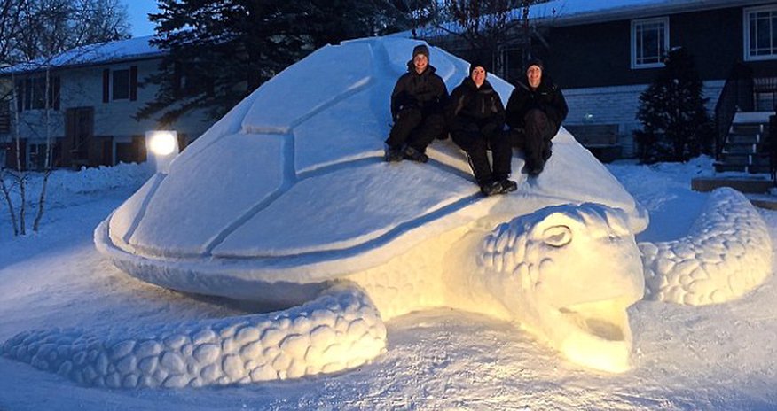 Brothers spend 300 HOURS building giant 12 foot turtle Brothers spend 300 HOURS building giant 12 foot turtle