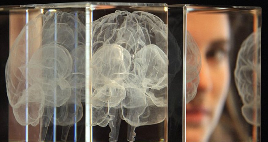 Do YOU have the smart gene? Do YOU have the smart gene?
