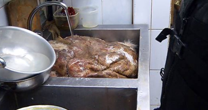 АСТ Тельман кормит людей мясом редких животных АСТ Тельман кормит людей мясом редких животных