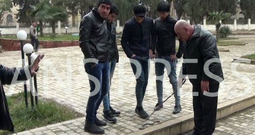 Джалилабадский парк наводнили змеи Джалилабадский парк наводнили змеи