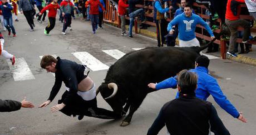 Student in intensive care after being gored by bull during Spanish festival Student in intensive care after being gored by bull during Spanish festival