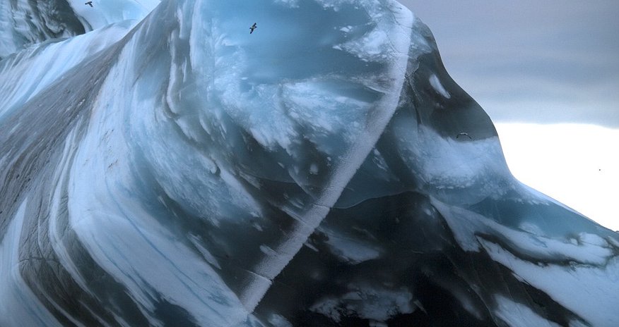The underworld of the Antarctic The underworld of the Antarctic