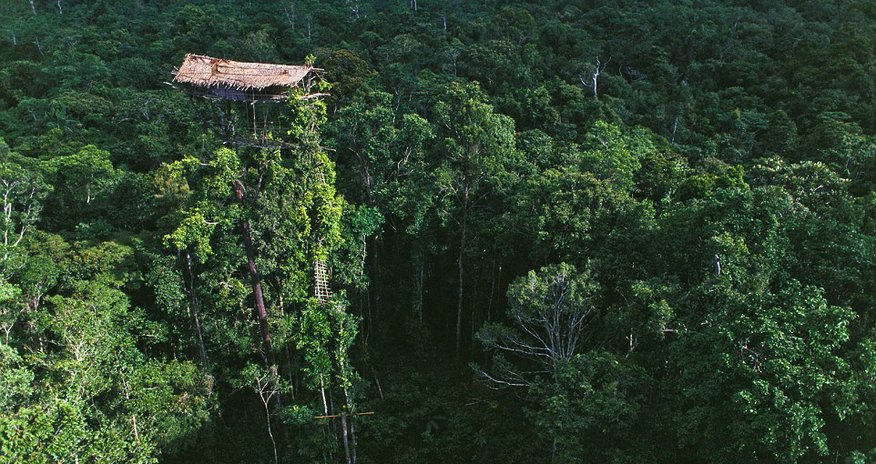 Incredible homes of the treehouse tribe Incredible homes of the treehouse tribe