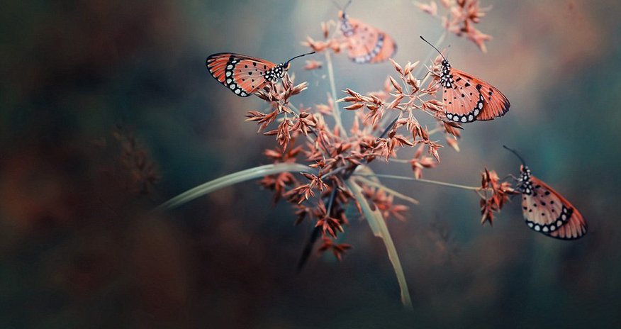 The beautiful and the bizarre come together in the world’s greatest photographs The beautiful and the bizarre come together in the world’s greatest photographs