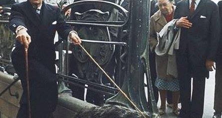 Salvador Dalini it əvəzi qarışqayeyən qoruyub Salvador Dalini it əvəzi qarışqayeyən qoruyub