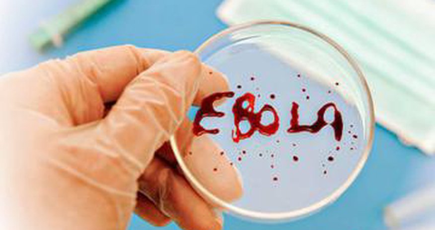 Azerbaijan to allocate $1m to fight Ebola Azerbaijan to allocate $1m to fight Ebola
