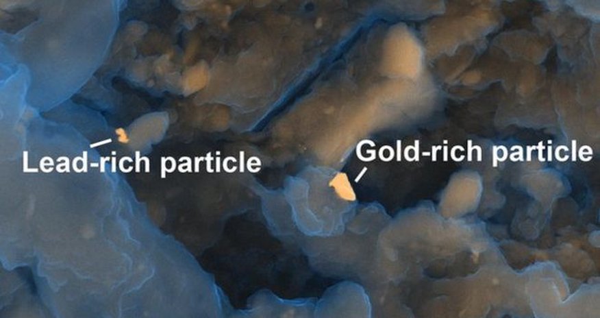 Gold in faeces 'worth millions' Gold in faeces 'worth millions'