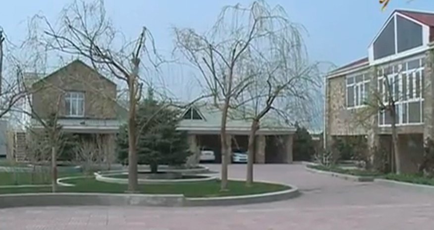 В Азербайджане создан отель для животных В Азербайджане создан отель для животных