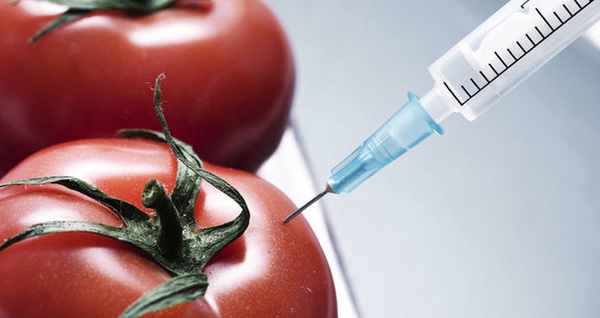 Azərbaycan GMO-nu qadağan edir Azərbaycan GMO-nu qadağan edir