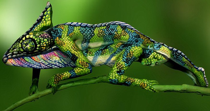 Chameleon? Chameleon?