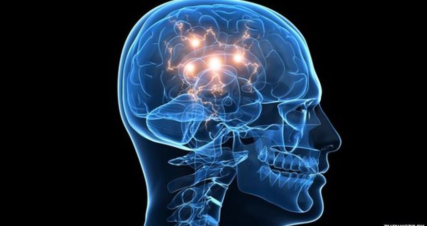 Dementia 'halted in mice brains' Dementia 'halted in mice brains'