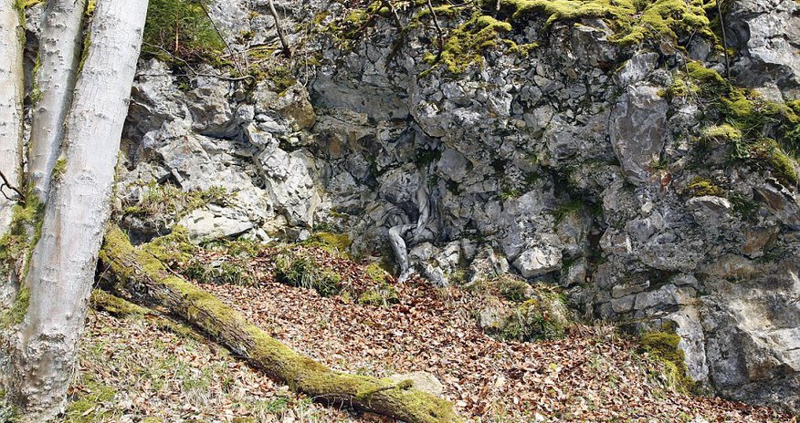 Can YOU spot the naked model camouflaged by trees and rocks Can YOU spot the naked model camouflaged by trees and rocks