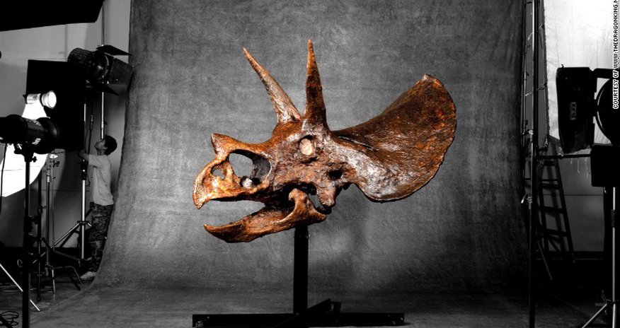 How a $1.8 million dinosaur skull went from Montana to Hong Kong How a $1.8 million dinosaur skull went from Montana to Hong Kong