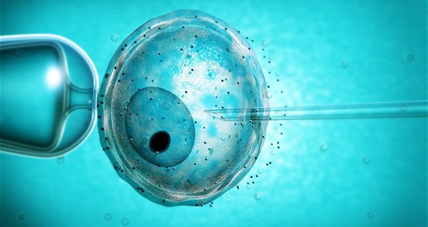 China shocks world by genetically engineering human embryos