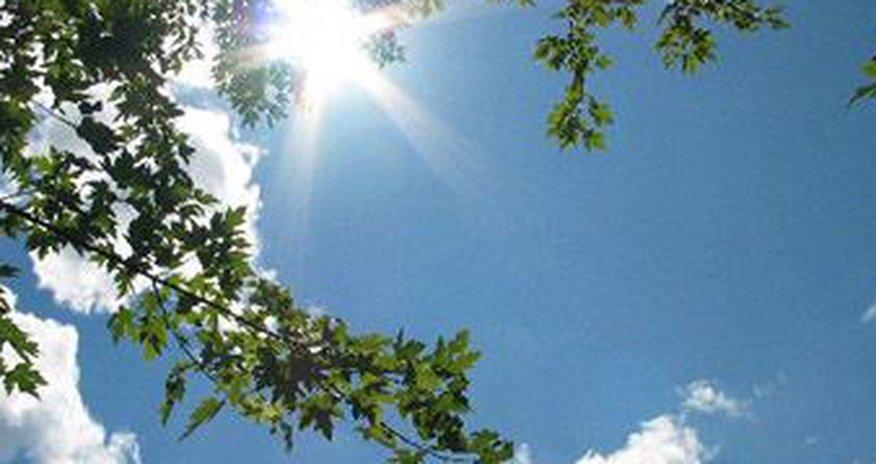 Baku weather forecast for June 18 Baku weather forecast for June 18