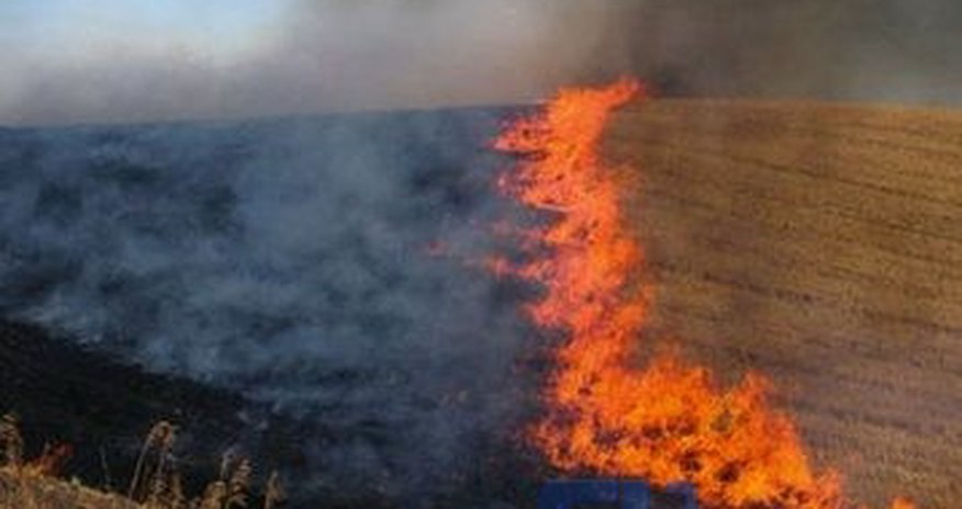 Сильный пожар на пастбищах Азербайджана Сильный пожар на пастбищах Азербайджана