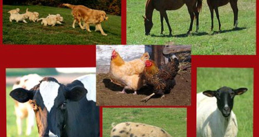 Azerbaijan's 1H agricultural production expands y/y Azerbaijan's 1H agricultural production expands y/y