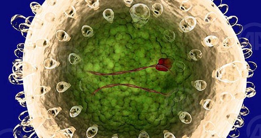 Hepatit virusundan hər il 1,4 milyon insan dünyasını dəyişir Hepatit virusundan hər il 1,4 milyon insan dünyasını dəyişir