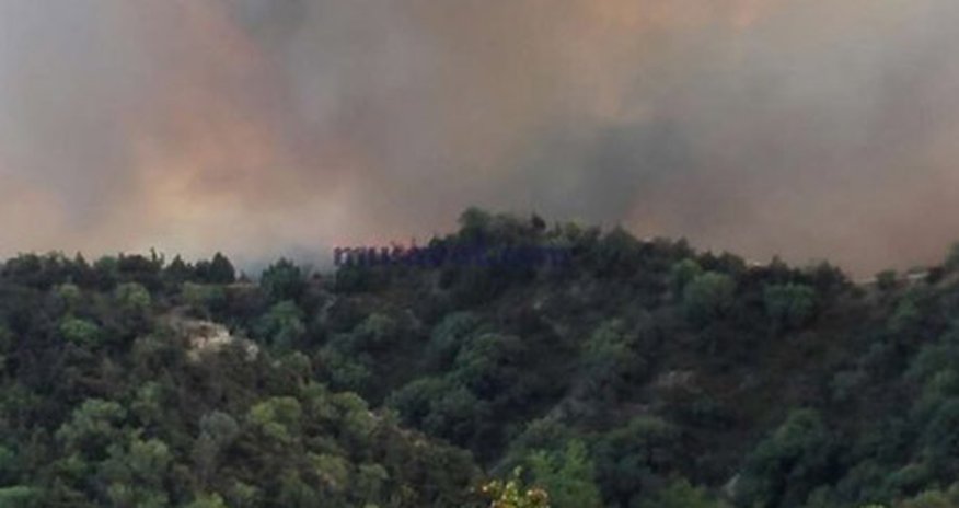 Azərbaycanda meşədə güclü yanğın Azərbaycanda meşədə güclü yanğın